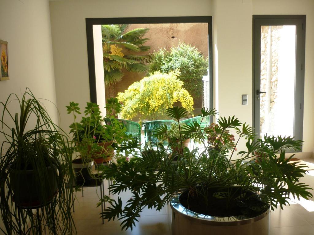 Posada Del Almudi 다로카 객실 사진